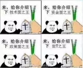 麻瓜吃瓜ing,揭秘娱乐圈幕后故事