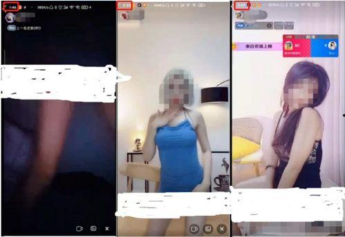 成人性视频免费,免费内容的诱惑与风险