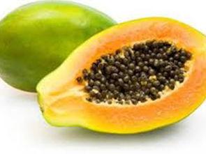 小瓜的籽可以吃吗,美味可口的天然零食探索