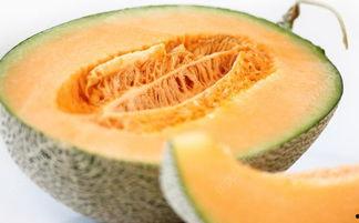 吃哈密瓜 舌头,舌尖上的哈密瓜盛宴