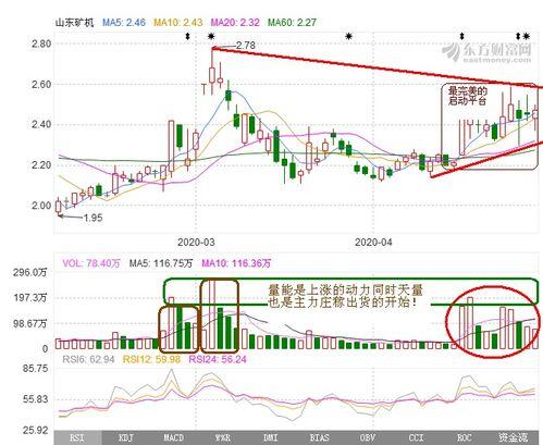 51看图,探寻视觉艺术之美