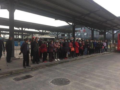 眉山t51,揭秘T51古墓的千年之谜